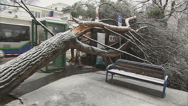 Savosa, au Tessin, était sous la neige vendredi. [Fosca Dones]