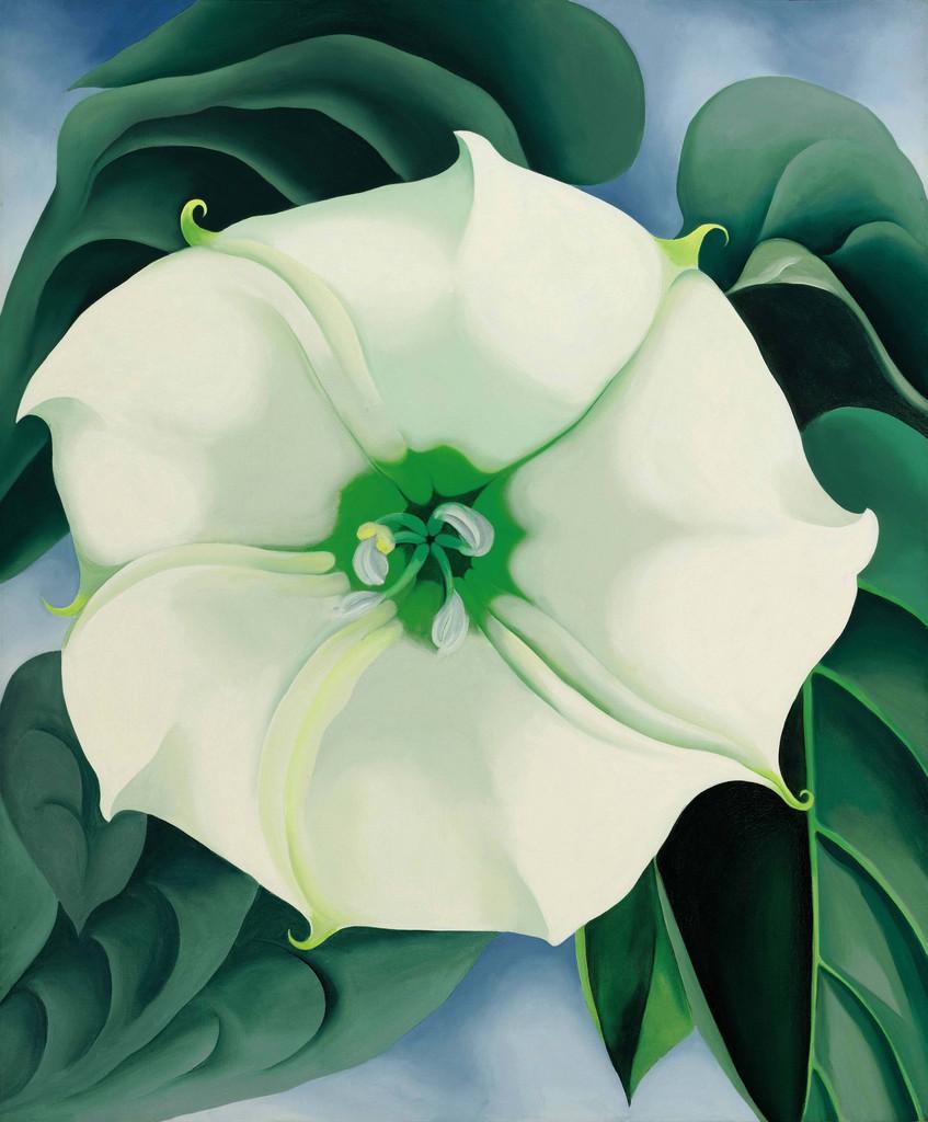Le tableau de Georgia O'Keeffe “Jimson Weed-White Flower No. 1" s'est vendu à plus de 44 millions de dollars, le triple de ce qu'il avait été estimé. [KEYSTONE - AP Photo/Sotheby’s]