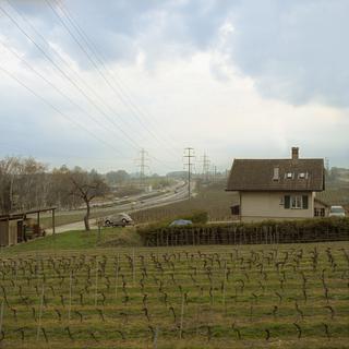 La traversée de régions bucoliques, ici le vignoble vaudois près de Rolle (VD). [Martin Ruetschi]
