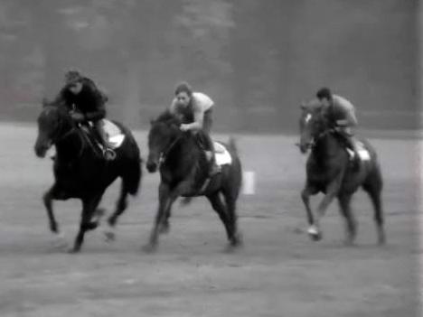 Visite à Chantilly, haut lieu des courses de chevaux en France. [RTS]