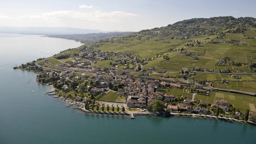Vue aérienne du village de Cully dans les vignes du Lavaux au bord du Lac Léman. [Laurent Gillieron]