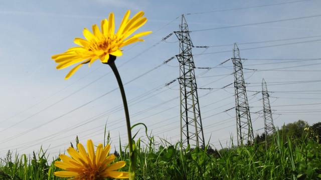 Electricité électrique libéralisation du marché Swissgrid courant vert écologie [Steffen Schmidt]