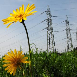 Electricité électrique libéralisation du marché Swissgrid courant vert écologie [Steffen Schmidt]