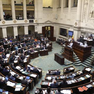 Le Parlement belge. [Francois Lenoir]