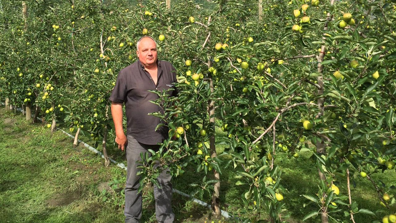 Xavier Moret, arboriculteur, dans ses vergers de pommes à Martigny. [RTS - Marie Giovanola]