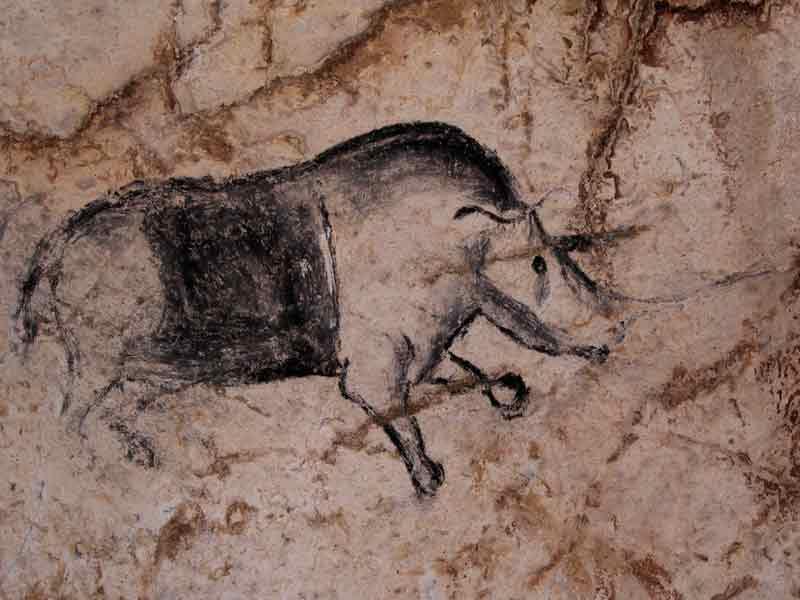 La Grotte Chauvet ou Grotte ornée du Pont d'Arc, en Ardèche, est connue pour abriter les plus anciennes peintures connues à ce jour, entre 30'000 et 32'000 avant J.C. Cette grotte, qui contient quelque 1000 peintures aux motifs  anthropomorphes ou animaliers, a été fermée par un éboulement il y a 20'000 ans et elle est restée scellée jusqu’à sa redécouverte en 1994, ce qui a permis de la conserver de façon exceptionnelle. [© SRA DRACRA, Rhinocéros]