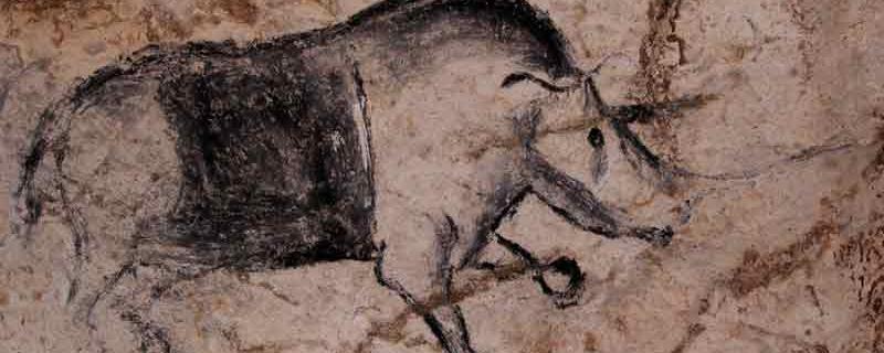 La Grotte Chauvet ou Grotte ornée du Pont d'Arc, en Ardèche, est connue pour abriter les plus anciennes peintures connues à ce jour, entre 30'000 et 32'000 avant J.C. Cette grotte, qui contient quelque 1000 peintures aux motifs  anthropomorphes ou animaliers, a été fermée par un éboulement il y a 20'000 ans et elle est restée scellée jusqu’à sa redécouverte en 1994, ce qui a permis de la conserver de façon exceptionnelle. [© SRA DRACRA, Rhinocéros]