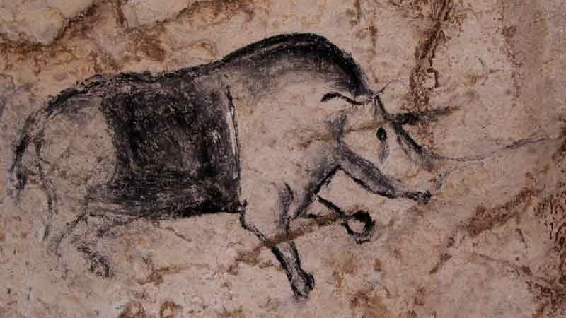 La Grotte Chauvet ou Grotte ornée du Pont d'Arc, en Ardèche, est connue pour abriter les plus anciennes peintures connues à ce jour, entre 30'000 et 32'000 avant J.C. Cette grotte, qui contient quelque 1000 peintures aux motifs  anthropomorphes ou animaliers, a été fermée par un éboulement il y a 20'000 ans et elle est restée scellée jusqu’à sa redécouverte en 1994, ce qui a permis de la conserver de façon exceptionnelle. [© SRA DRACRA, Rhinocéros]