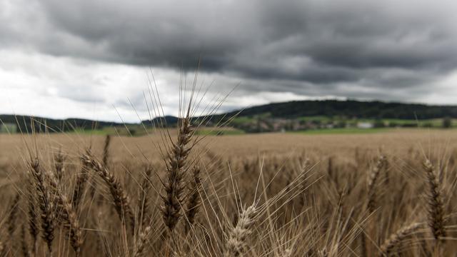 Le temps devrait revenir au beau jeudi et vendredi, avant de nouvelles pluies ce week-end. [Lukas Lehmann]