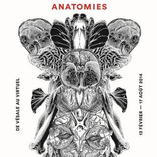 Affiche de l'exposition "Anatomies" à la Fondation Verdan-Musée de la main. [verdan.ch]