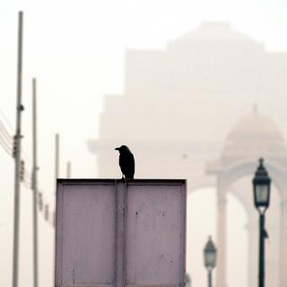 La pollution prend des proportions inquiétantes à New Dehli. [The Times Of India/AFP - Manoj Kesharwani]