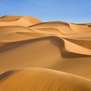 Dunes du désert libyen. [Biosphoto / Minden Pictures / AFP - Donrad Wothe]