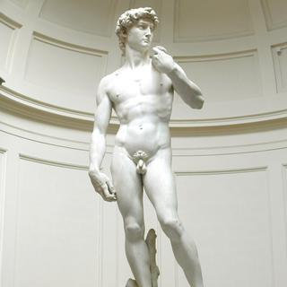La célèbre statue de David de Michel-Ange. [CC BY-SA 3.0 - David Gaya]