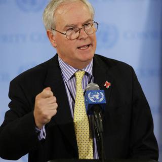 L'ambassadeur britannique à l'ONU Mark Lyall Grant. [Getty Images/AFP - Spencer platt]