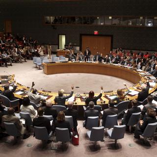 Le Conseil de sécurité de l'ONU vote une résolution réclamant un accès libre et sécurisé au site du crash du vol MH17, ce lundi 21 ju8illet 2014. [AP Photo/Seth Wenig]