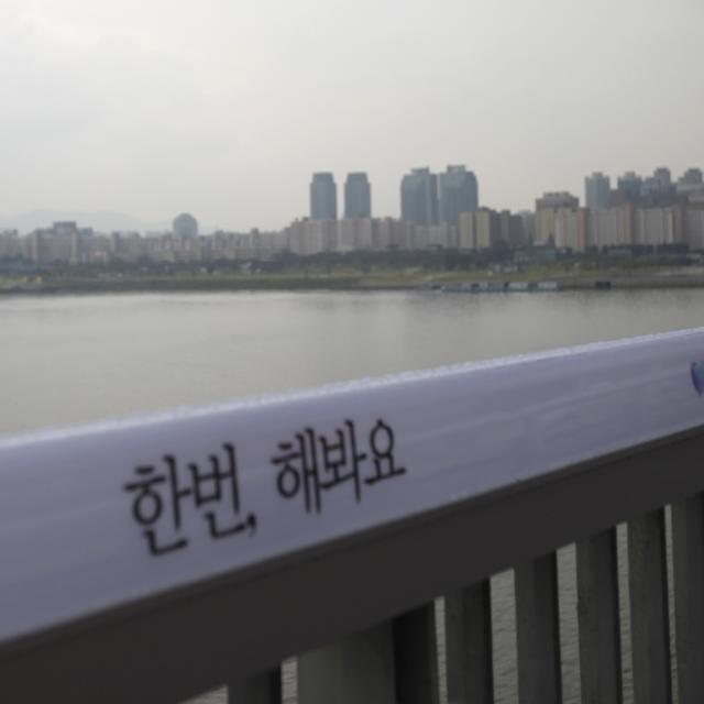A telephone booth named "SOS telephone of life" and a message are seen on the railing on the Mapo Bridge, one of 25 bridges over the River Han in Seoul in this September 28, 2012 picture. The message reads,"Once, Please try it" and it is one of messages which were chosen by psychiatrists and are aimed at reducing tension and even getting people to relax with humour. South Korea aims to promote a message of life and hope at the bridge that has the unenviable reputation as the favourite place for people wanting to commit suicide. South Korea's suicide rate has been the highest among developed nations for the past eight years, with almost 43 people choosing to end their lives every day. Picture taken September 28, 2012. To match story KOREA-SUICIDE/BRIDGE REUTERS/Kim Hong-Ji (SOUTH KOREA - Tags: SOCIETY) [Kim Hong-Ji]