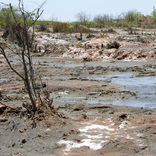 La ROHMA aurait pour mandat d'interdire le négoce en cas d'atteintes à l'environnement. [Pain pour le prochain - Chantal Peyer]