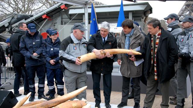 La destruction des trois tonnes d'ivoire s'est déroulée en fin de matinée, à proximité de la Tour Eiffel en présence du ministre de l'Ecologie, Philippe Martin, et de Nicolas Hulot.