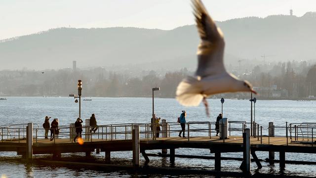 A Zurich, ce 23 décembre 2014.