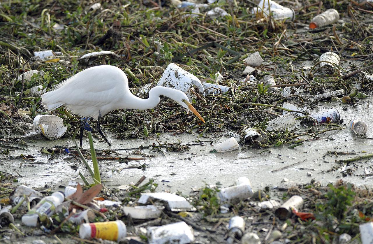 L'impact sur l'environnement est très grand. [REUTERS - Ho Hew]