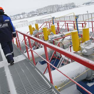 Moscou met fin aux livraisons de gaz à prix cassés pour l'Ukraine. [RIA NOVOSTI/AFP - Iliya Pitalev]