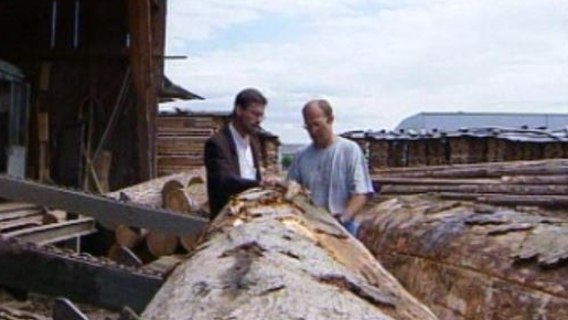 Du bois détruit par Lothar devient aide humanitaire pour Haïti. [RTS]