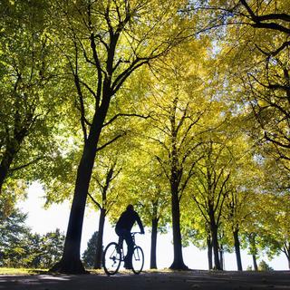 Le parc de Valency à Lausanne. [Jean-Christophe Bott]