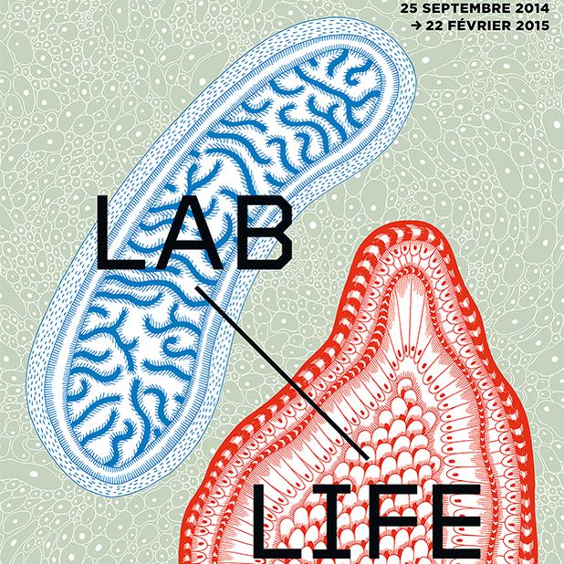 L'affiche de l'exposition "LAB/LIFE" à voir au Musée de la Main. [museedelamain.ch]