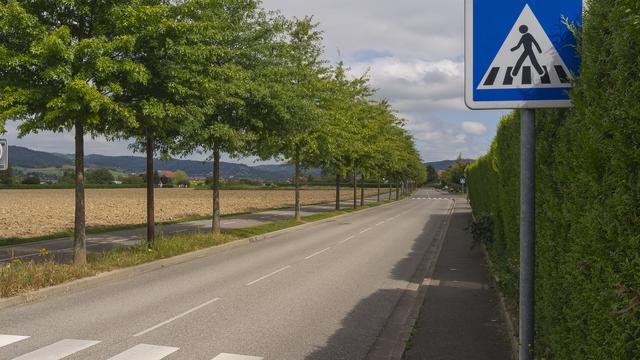 L'idée est de remplacer les panneaux publicitaires par des arbres. [© Denis Augustin]