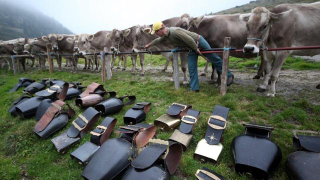 Les vaches avec ou sans cloches? [Urs Flüeler]