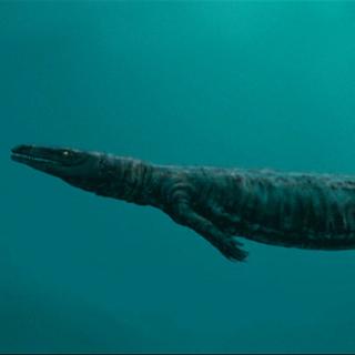 Ces créatures marines auraient disparus en même temps que les dinosaures, il y a plus de 65 millions d'années.