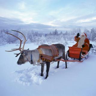 La Laponie, patrie du Père Noël et de ses rennes. [LEHTIKUVA/AFP - Martti Kainulainen]