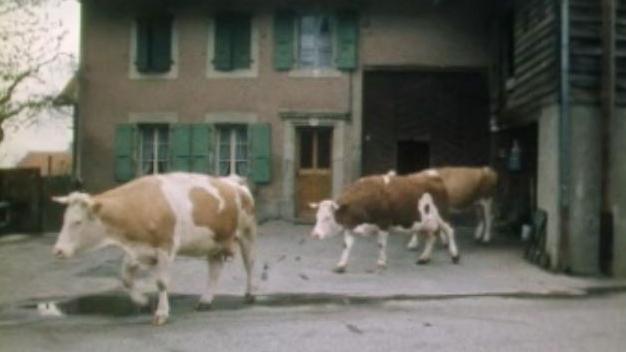 Au village de Cugy en 1978. [RTS]