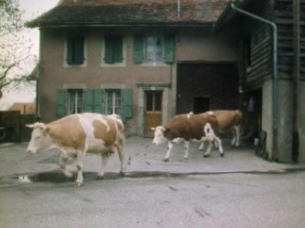 Au village de Cugy en 1978. [RTS]