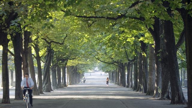 La promenade des Bastions, dans le centre de Genève, fait partie des 30'000 sites recensés par l'ICOMOS Suisse. [Gaetan Bally]