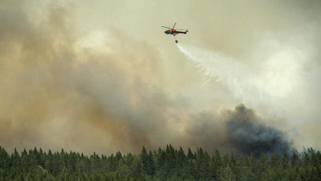 En Suède, les feux de forêts sont alimentés par une chaleur caniculaire depuis la mi-juillet. [FREDRIK SANDBERG]