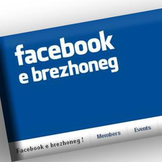 Capture d'écran de l'interface de Facebook en breton.