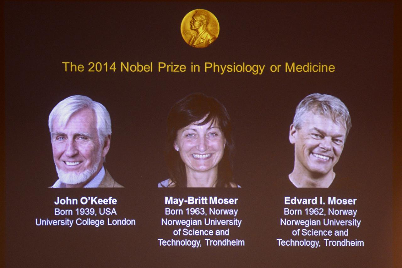 John O'Keefe, May-Britt Moser et Edvard Moser ont reçu conjointement le prix Nobel de médecine 2014. [Jonathan Nackstrand]