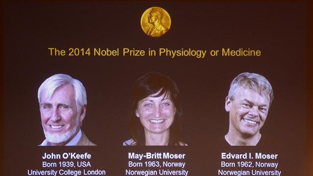 John O'Keefe, May-Britt Moser et Edvard Moser ont reçu conjointement le prix Nobel de médecine 2014. [Jonathan Nackstrand]
