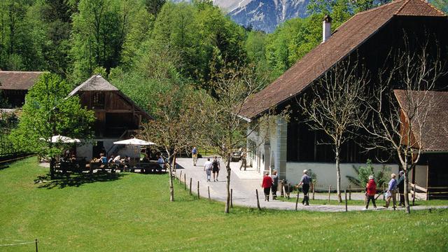 Le musée de Ballenberg, dans l'Oberland bernois. [Keystone - Gaëtan Bally]