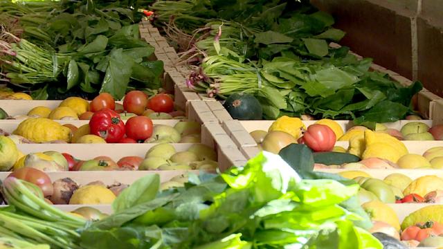 Fruits et légumes à l'esthétique non conformes aux standards requis par la grande distribution.