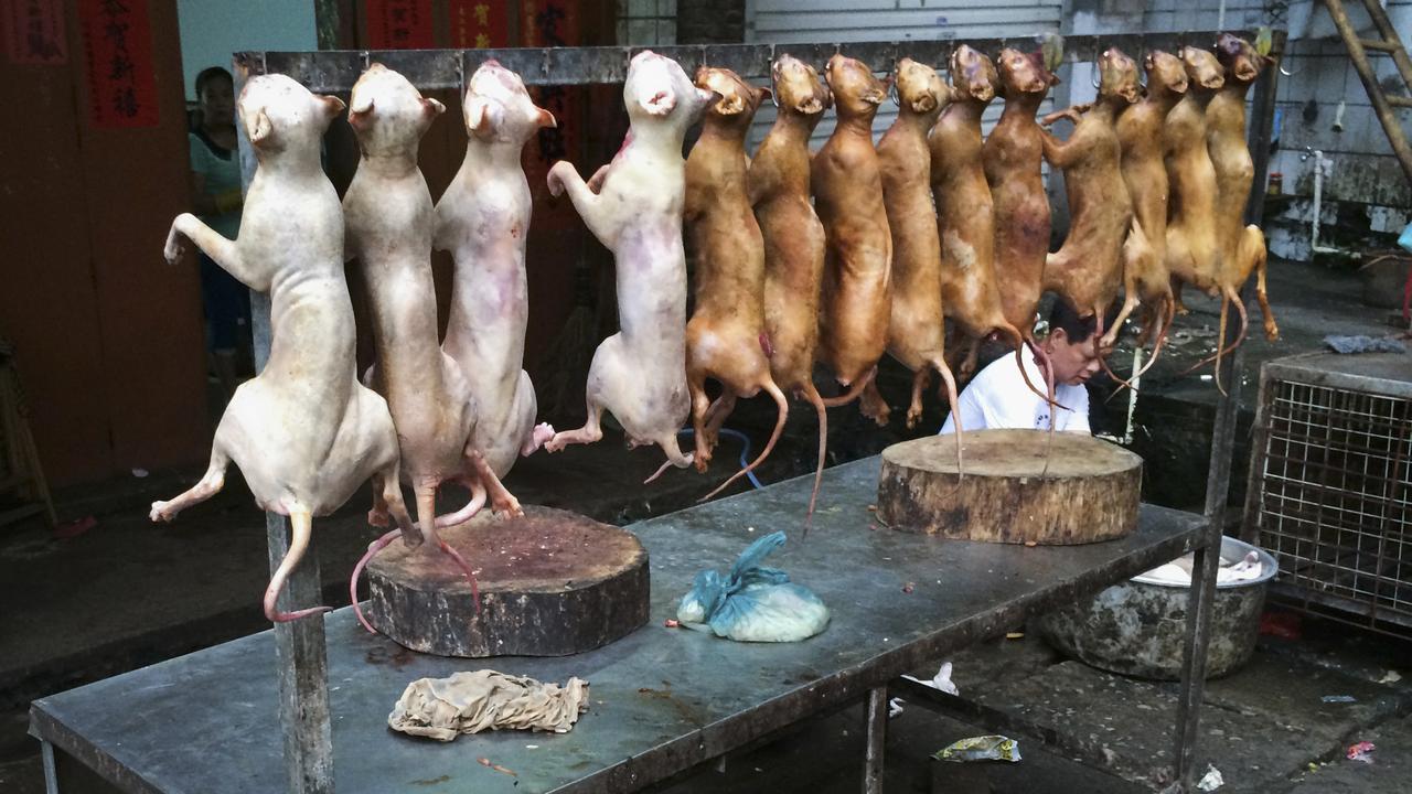 Dead dogs are on sale at a stall, ahead of the dog meat festival in Yulin, Guangxi Zhuang autonomous region, May 19, 2014. Yulin has an annual dog meat festival scheduled on June 21. REUTERS/Stringer (CHINA - Tags: SOCIETY ANIMALS ANNIVERSARY) TEMPLATE OUT. CHINA OUT. NO COMMERCIAL OR EDITORIAL SALES IN CHINA [Stringer]