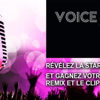 Le logo de Voice Star. [voicestar.ch]