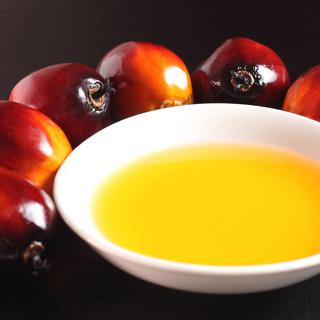 L'huile de palme est très décriée (ici les fruits du palmier à huile). [dolphfyn]