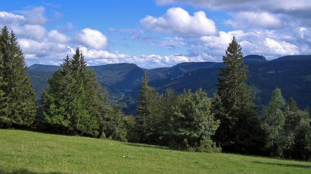 Le pâturage boisé, une subtile mosaïque entre forêt et prairie. [Celeste Clochard]