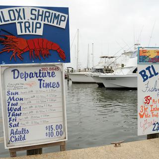Les pêcheurs se plaignent du manque de crevettes depuis la catastrophe écologique de 2010. [AFP/archive - Stan Honda]