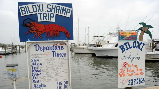 Les pêcheurs se plaignent du manque de crevettes depuis la catastrophe écologique de 2010. [AFP/archive - Stan Honda]