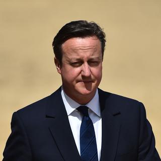 David Cameron. [AFP - Ben Stansall]