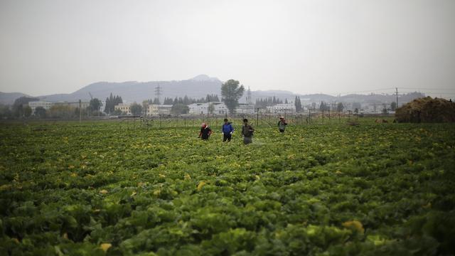 Des milliers de Nord-Coréens continuent de fuir leur pays. [key - AP Photo/Wong Maye-E]