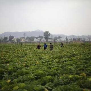 Des milliers de Nord-Coréens continuent de fuir leur pays. [key - AP Photo/Wong Maye-E]